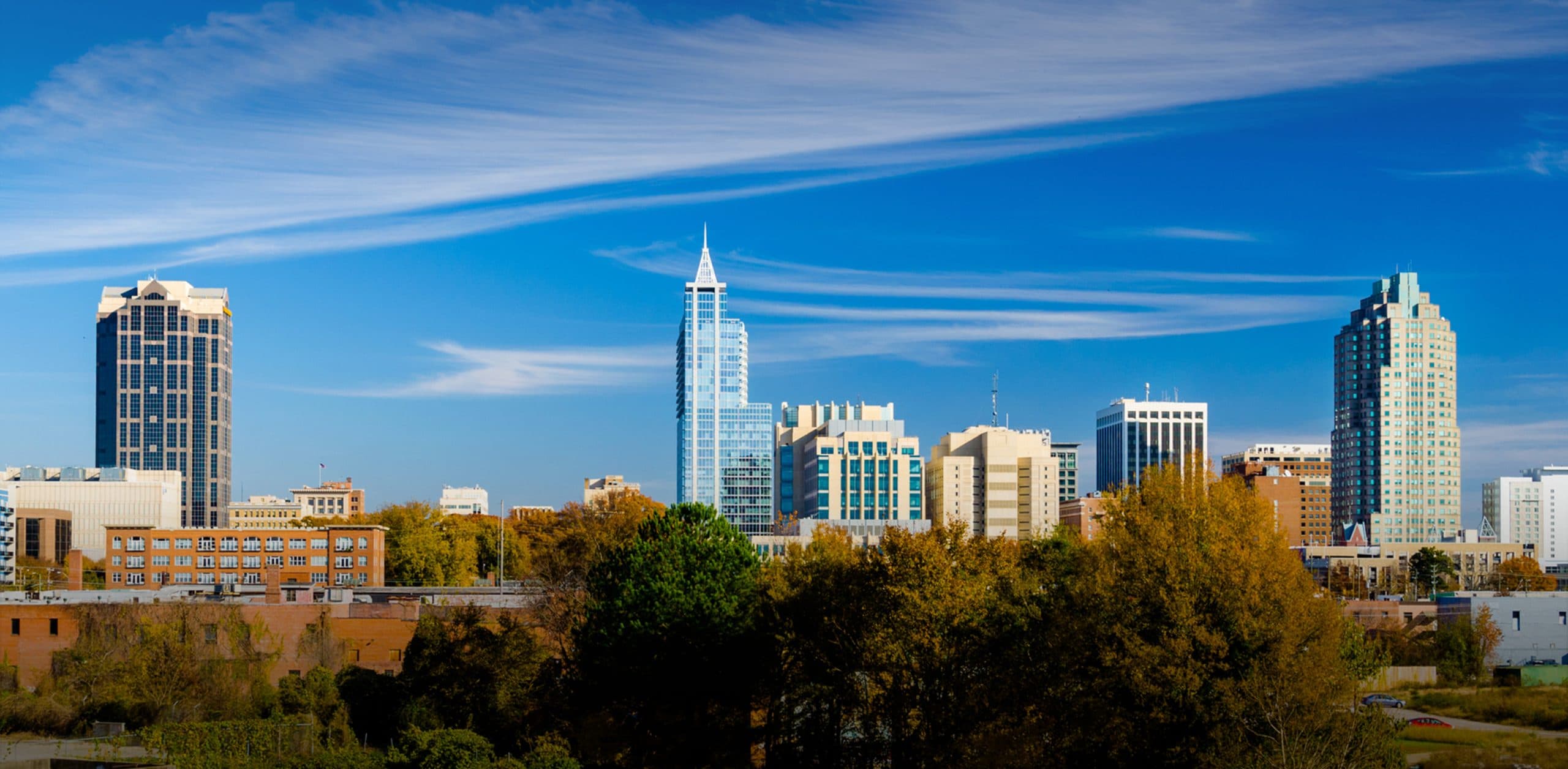 Raleigh Family Lawyers